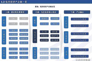 曼奇尼执教意国家队期间出场次数：多纳鲁马49次最多，巴雷拉第2